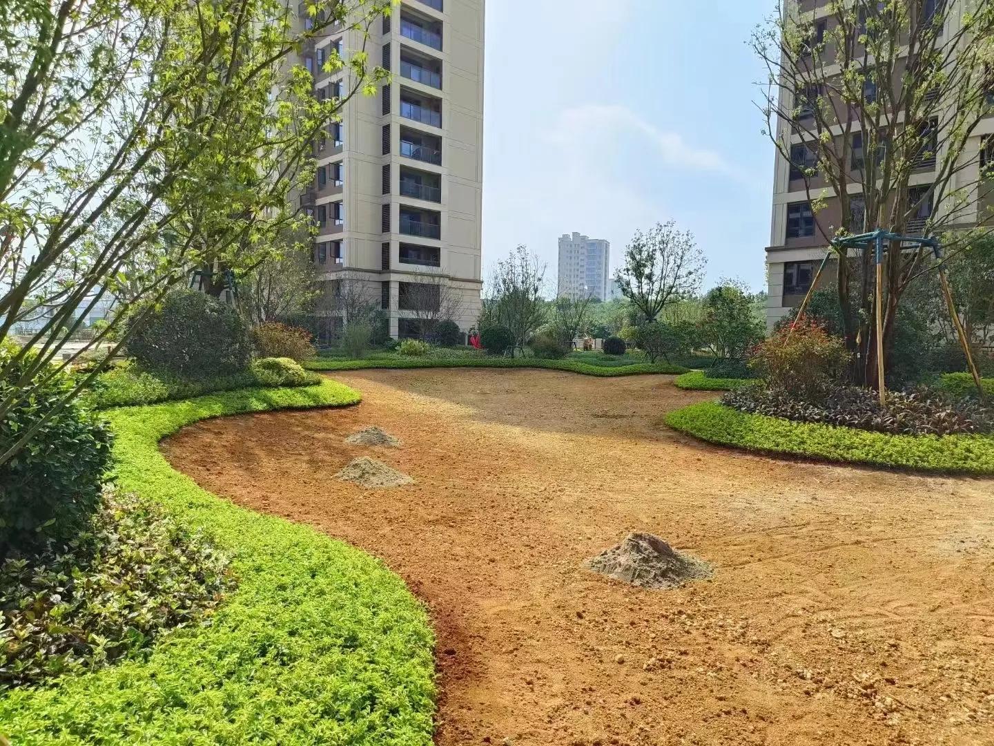 地被的栽植方式,地被种植施工方法