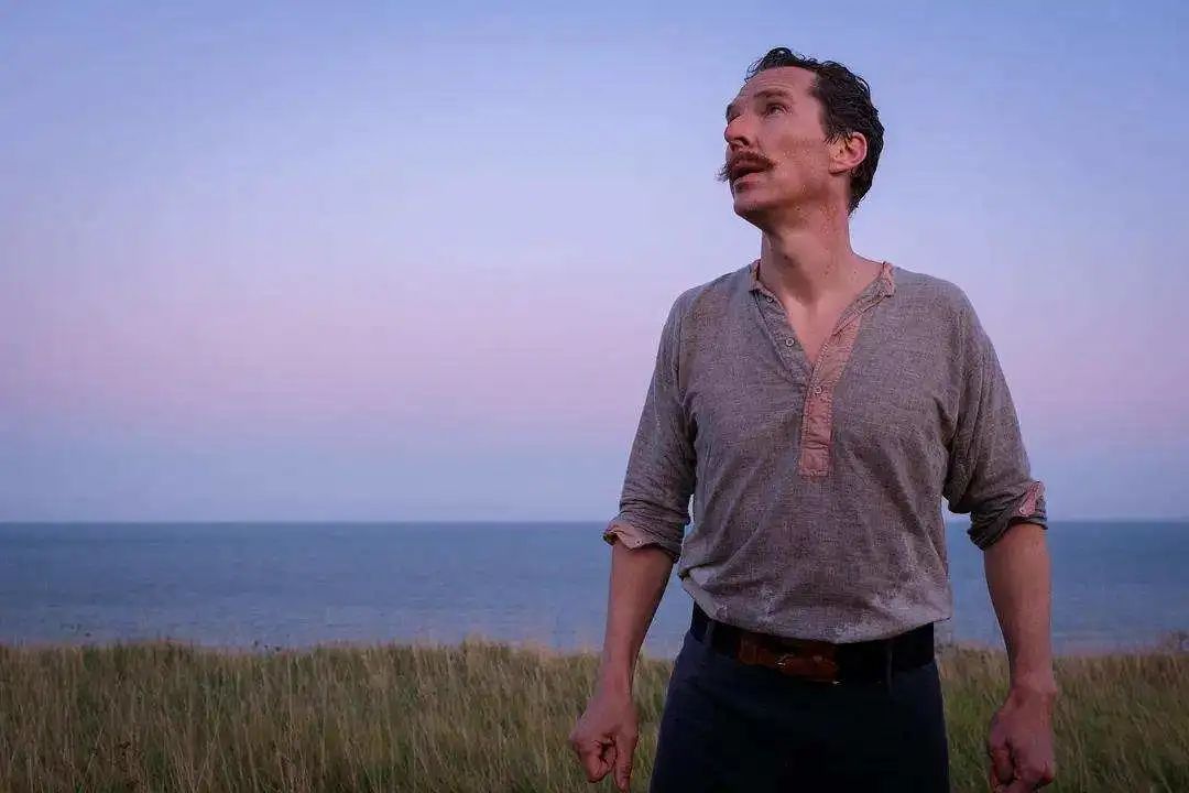 顶级猫奴！天才画家用余生为亡妻画猫，却被送进精神病院…