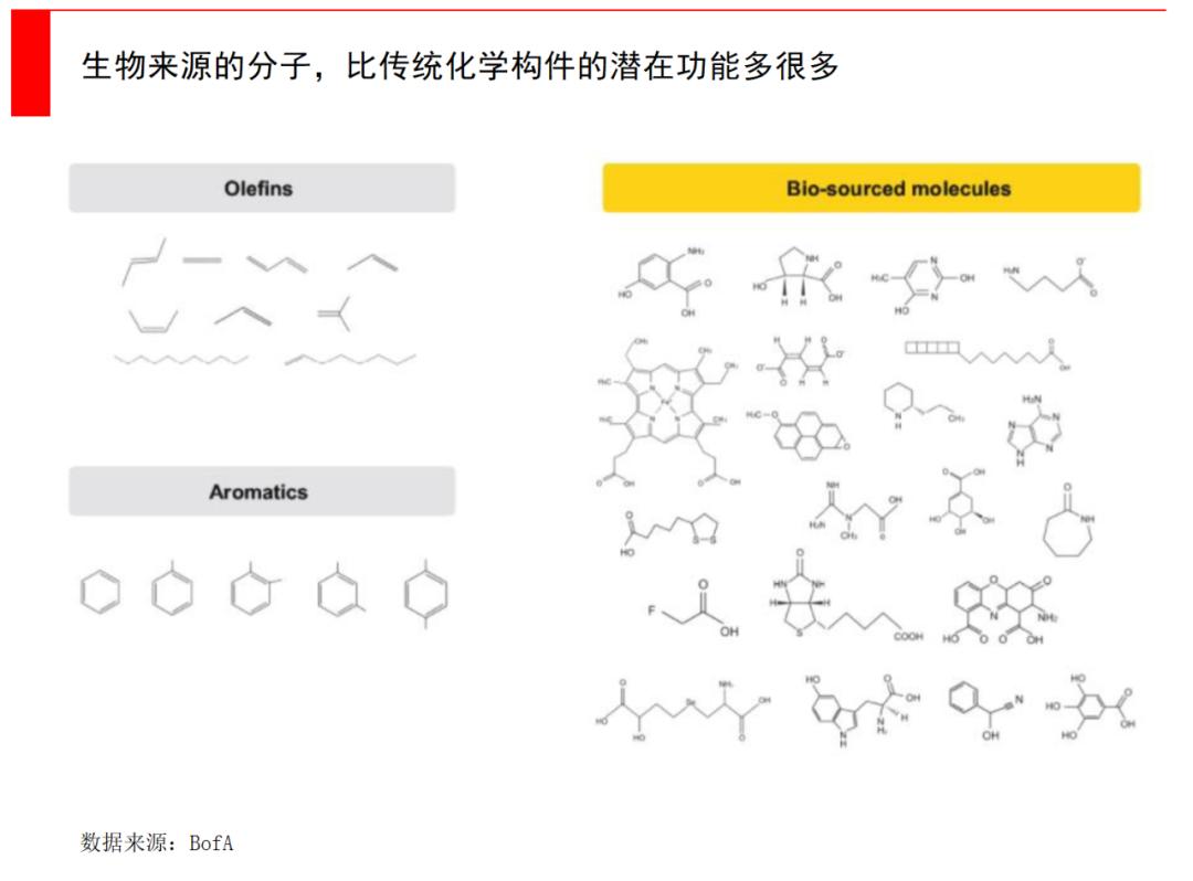 如何投资合成生物学,合成生物学投资的三大维度