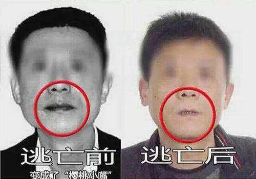 槟榔的危害科学分析,槟榔的危害有多大资料