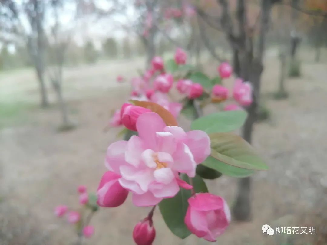 唠叨的危害竟然这么大,唠叨给人带来的不良后果