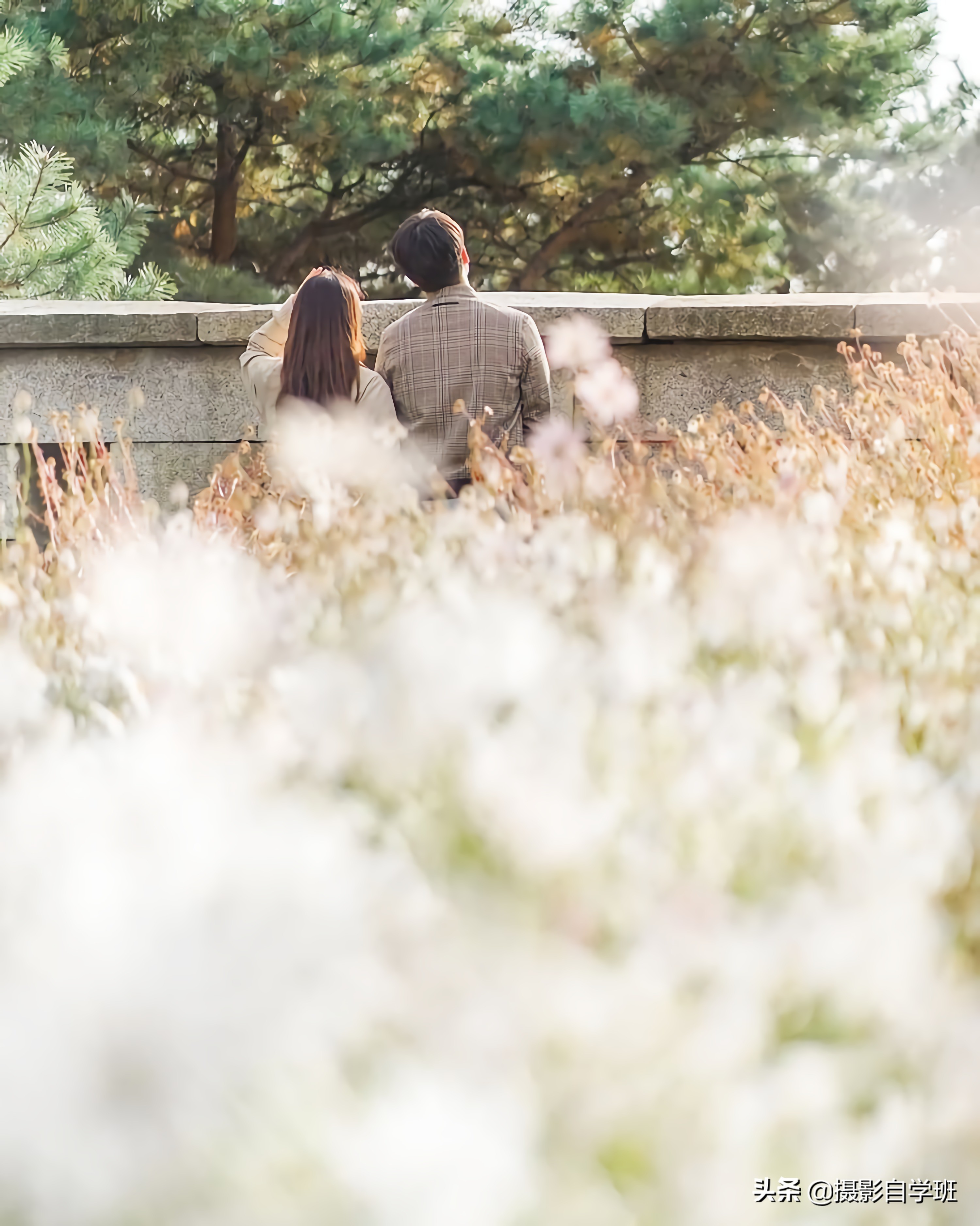 夫妻拍照姿势怎么拍好看,情侣拍照姿势大全教你拍出好照片