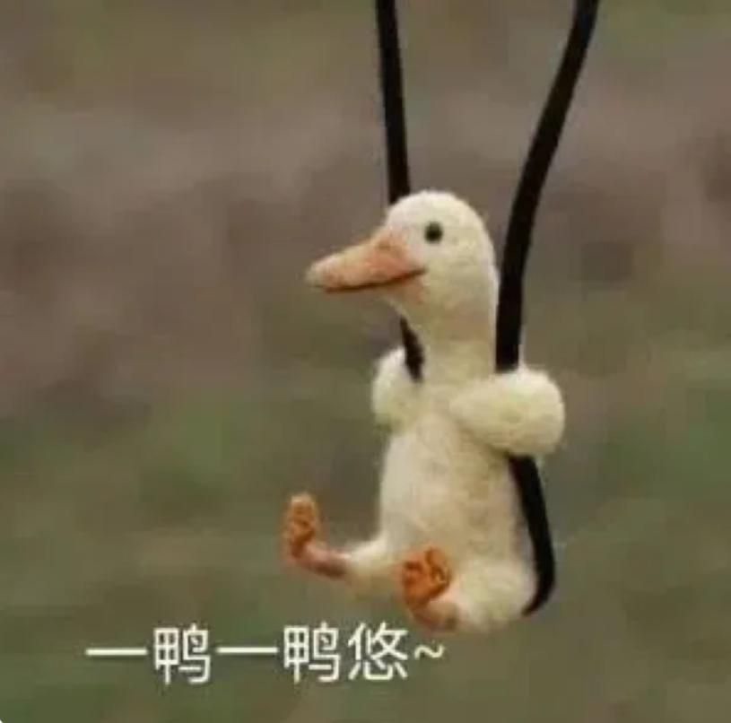 来自五湖四海的大学生摄影爱好者们，在拍些什么？