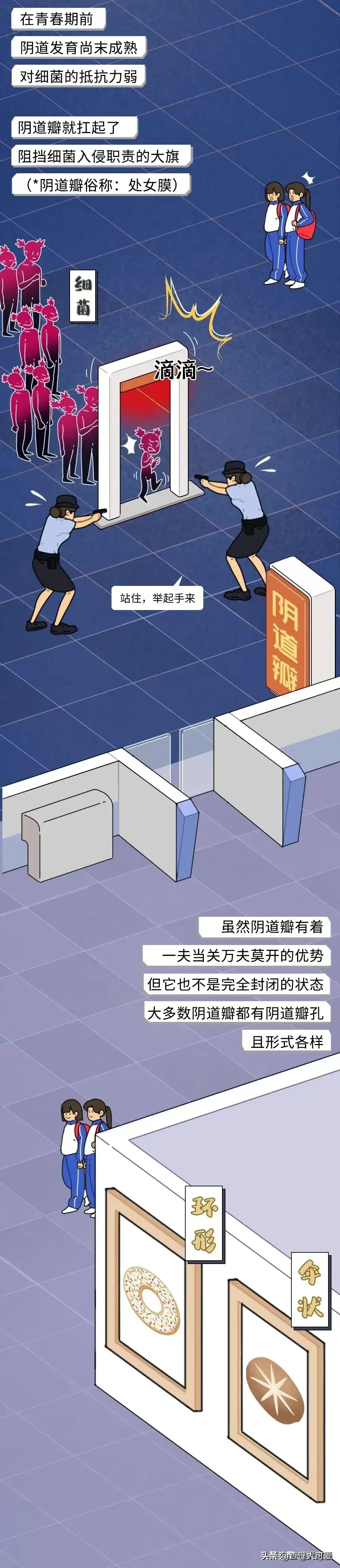 奇妙的女性生理构造，很多女生都不知道！（漫画）