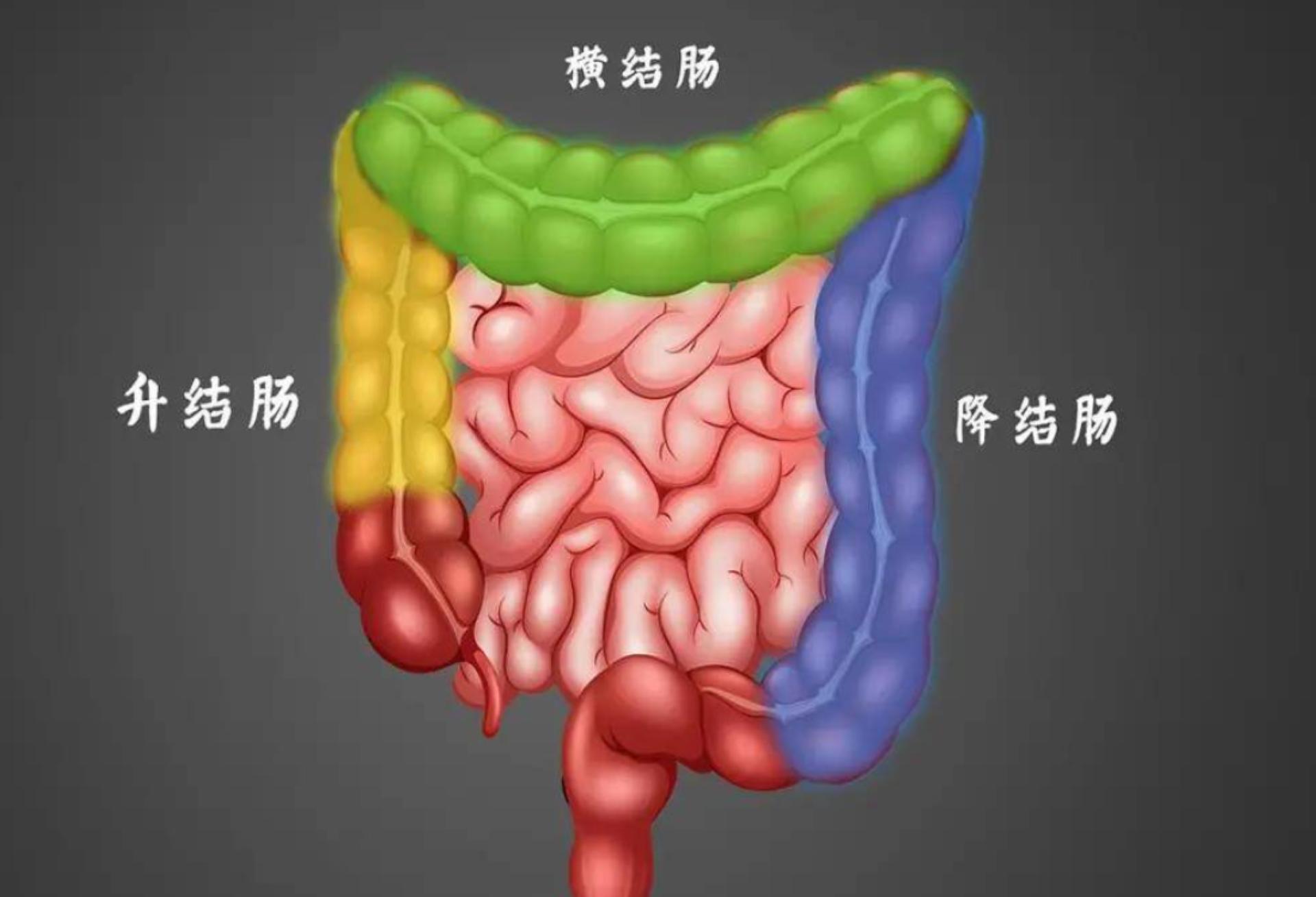 结肠长息肉是什么原因造成的,结肠息肉切除肚子还疼是什么原因