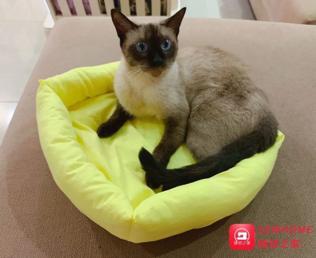 布艺猫窝的做法大全,教你diy宠物小窝