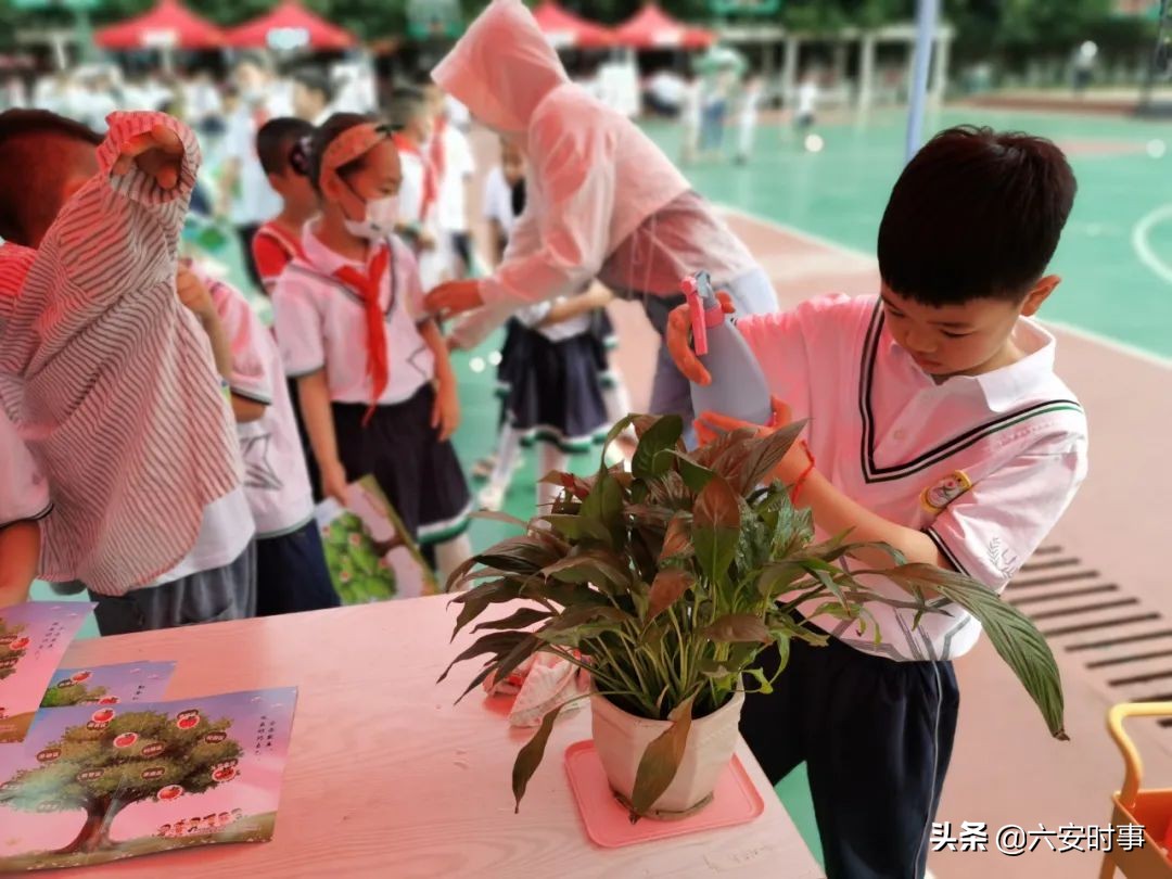 区角式趣味体验——六安市雷锋路小学无纸化测试