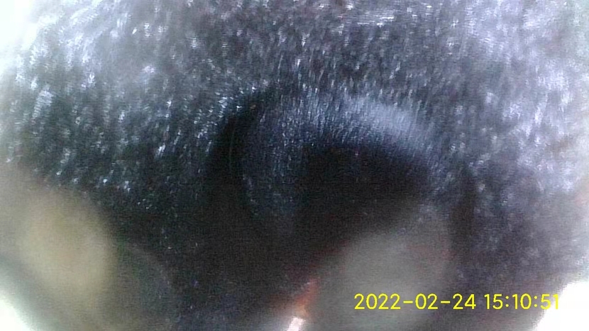 老车油耗高教你解决方法,老车油耗高省钱安心的解决办法