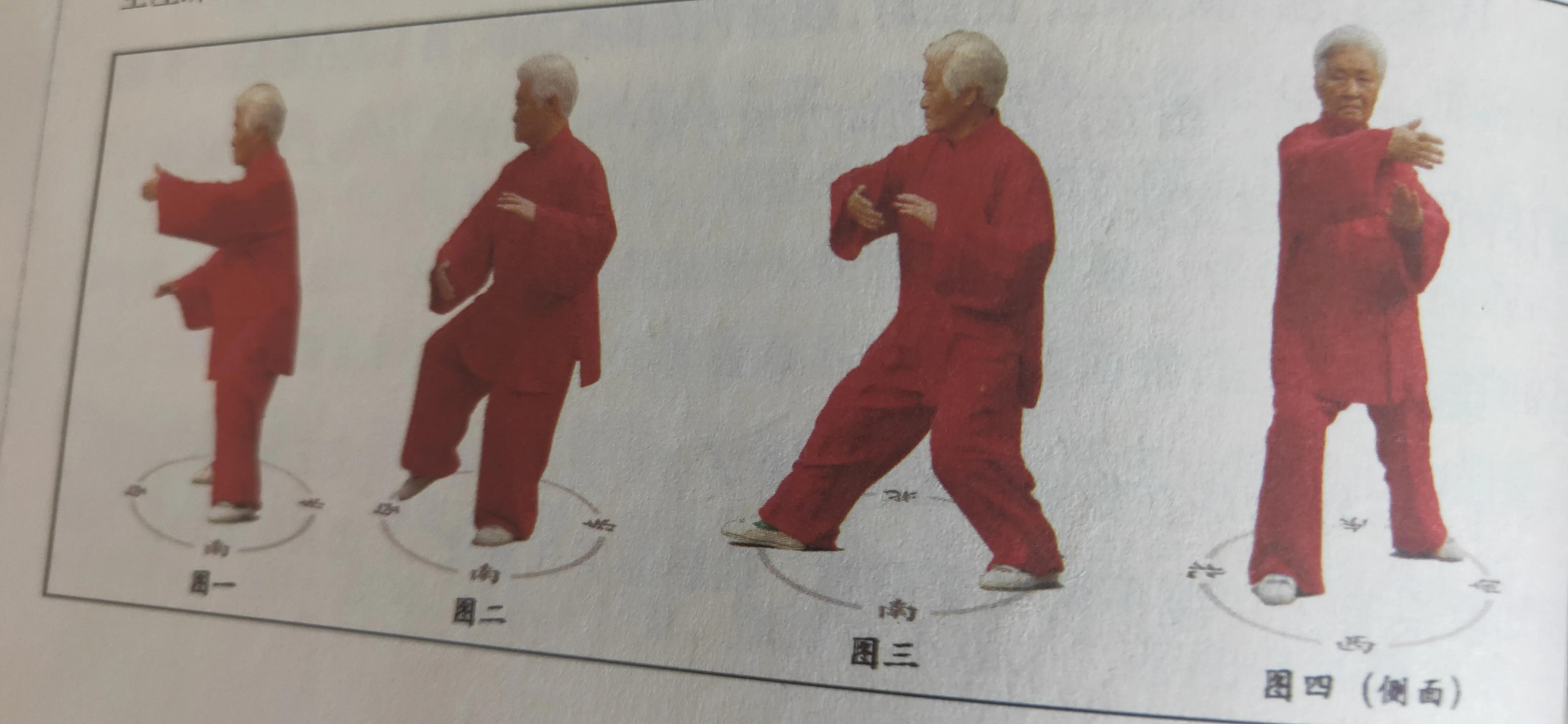 太极拳掤的基本动作,杨氏太极拳中的掤捋挤按八法