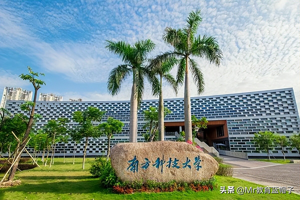 南科大对个人前途发展的利与弊,南科大2024年毕业生去向