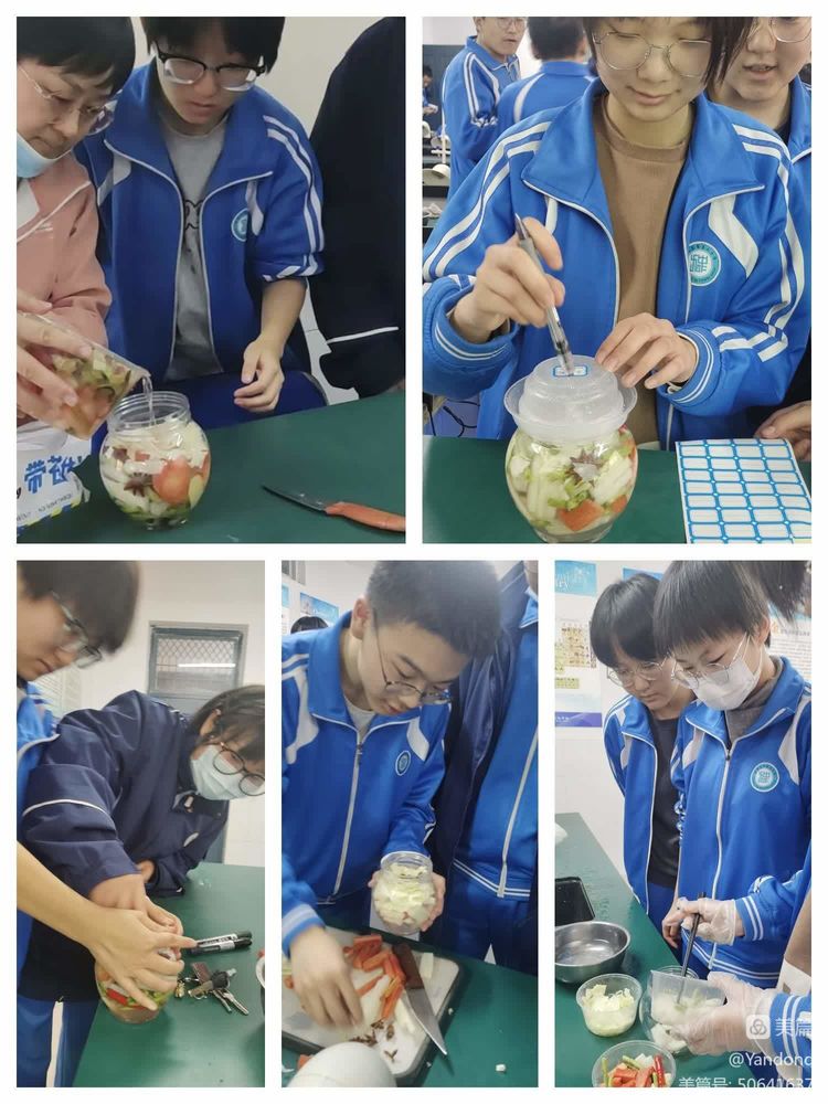 生物课学制作泡菜,泡菜制作高中生物实验课