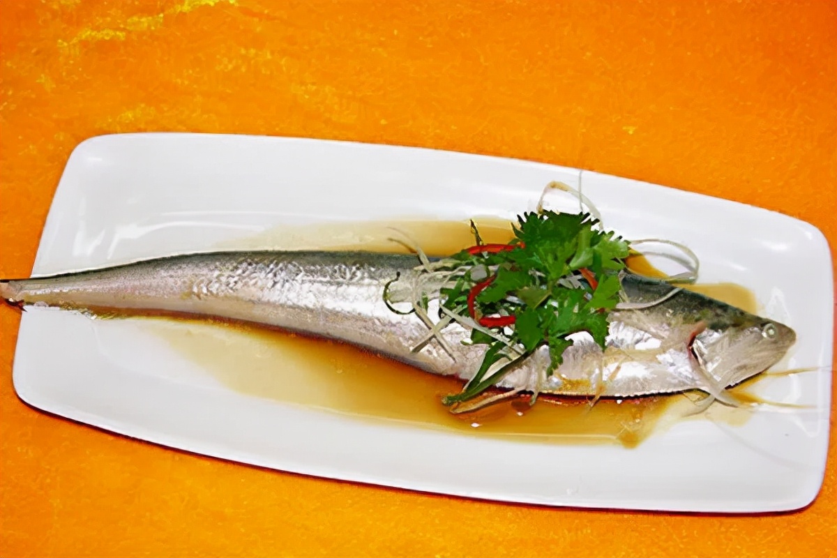 迎接COP15，保护生物多样性丨长江里有什么之“长江第一鲜”刀鱼