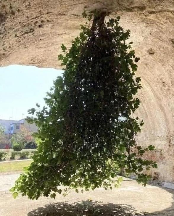 涓栫晫鍗佸ぇ瓒呮ā韬潗鍥剧墖鍥炬枃,涓栫晫鍗佸ぇ瓒呮ā鎯婅壋鍐欑湡