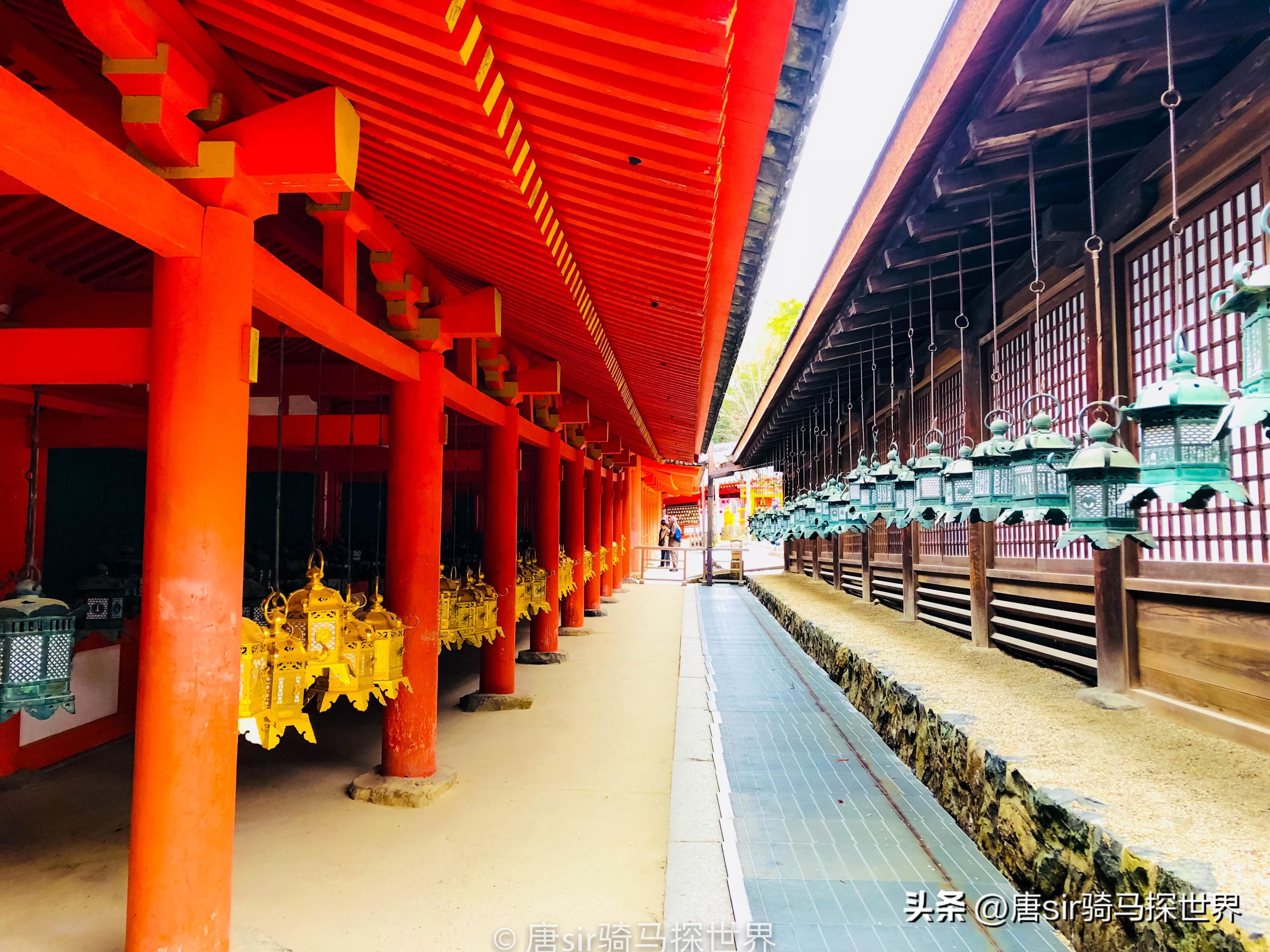 京都小景点旅游攻略大全,京都攻略旅游自由行