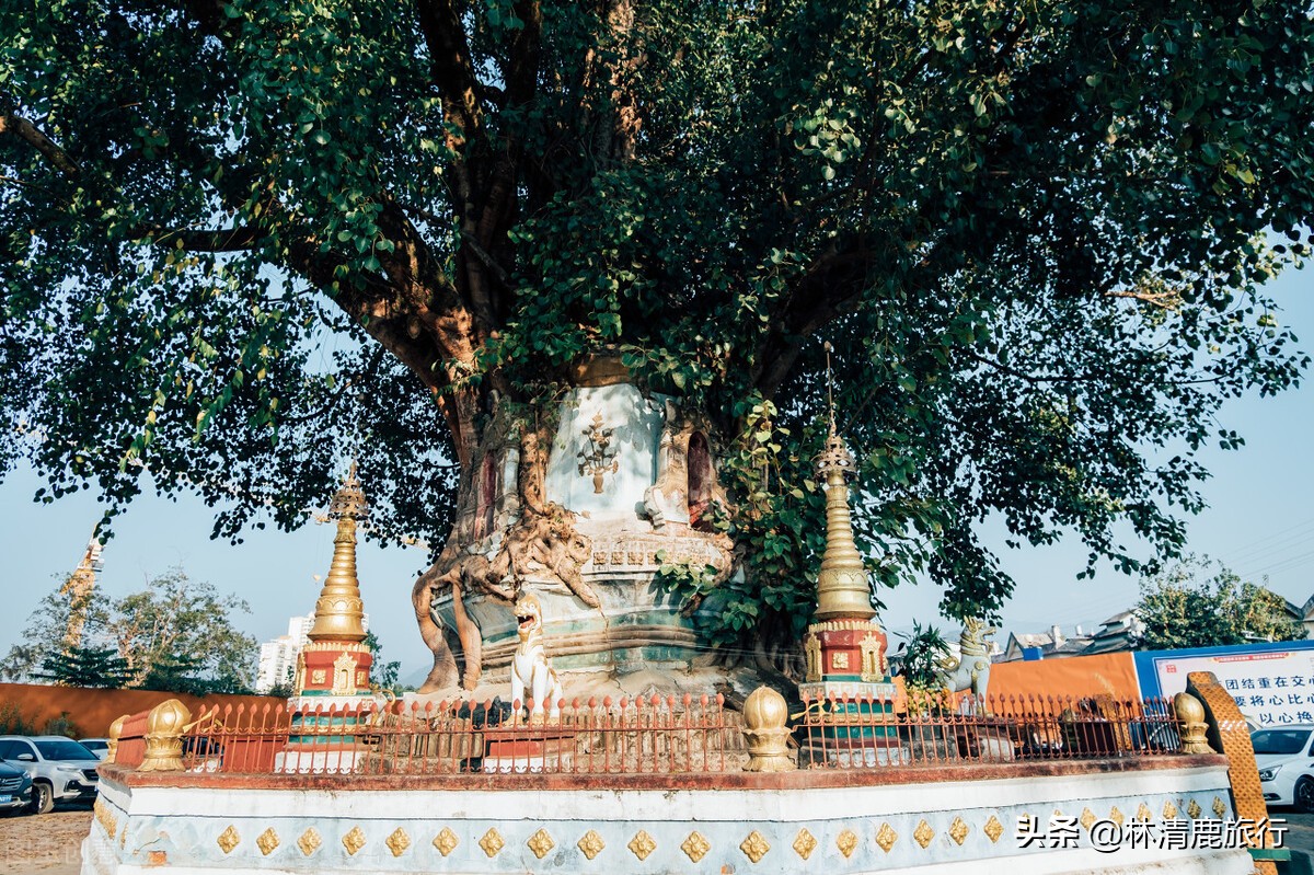 云南旅游住哪里比较好有温泉,云南省冬天暖和又有温泉的城市