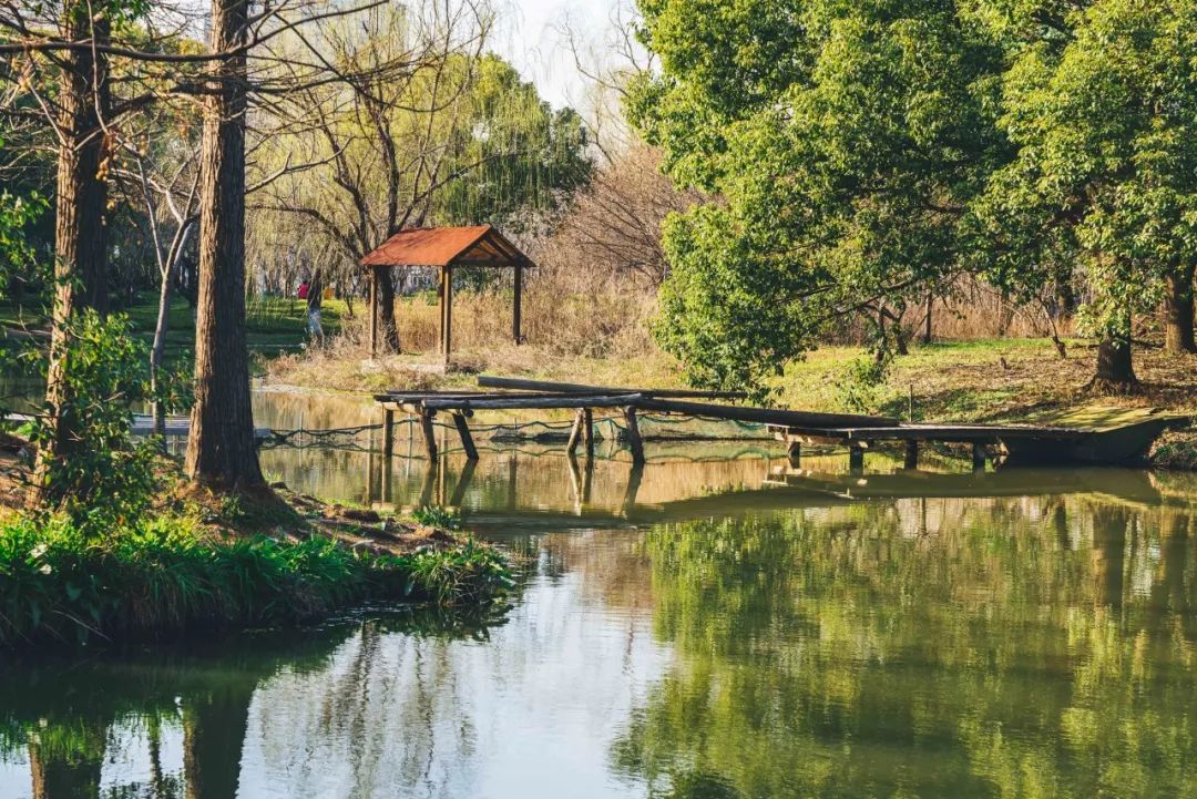最好的十首唐诗,唐诗中最唯美的四字诗句