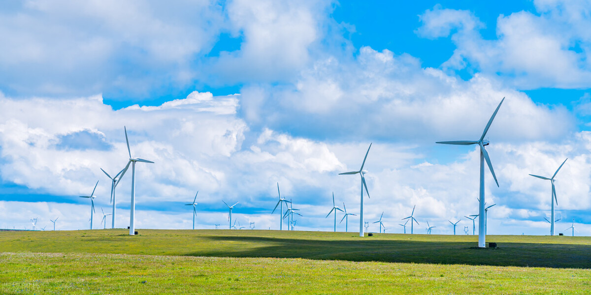 涉环保案件,涉及环保的最新罪名