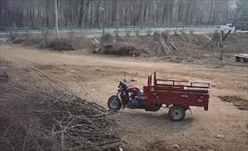 鹅被灌酒飞走,大鹅被灌酒后飞走