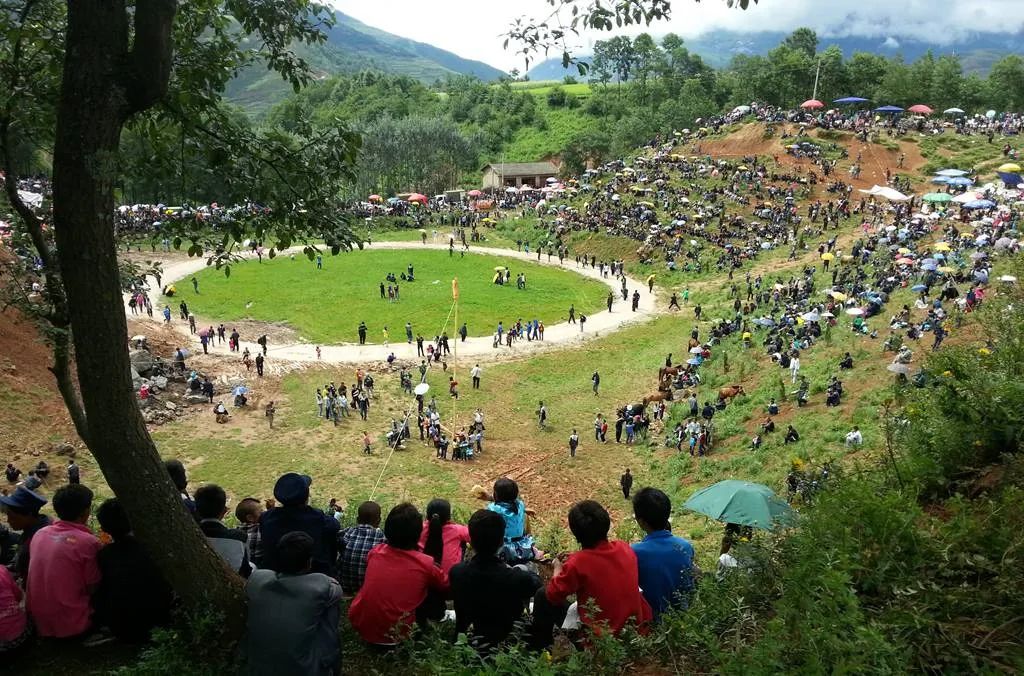 七月中国美如画，夏日避暑五十处