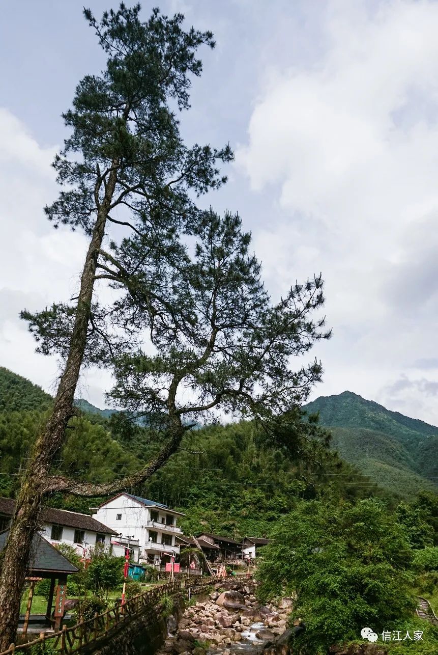 婺源美景之篁岭,婺源篁岭世外桃源