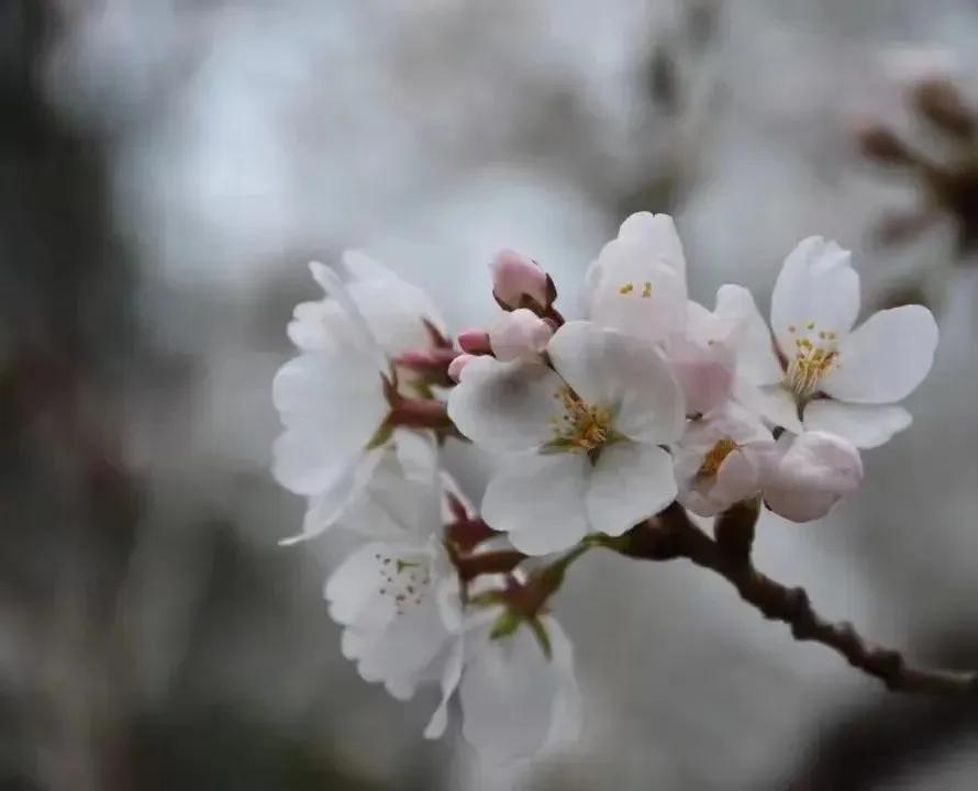 趣味答题赛介绍,趣味答题活动报道
