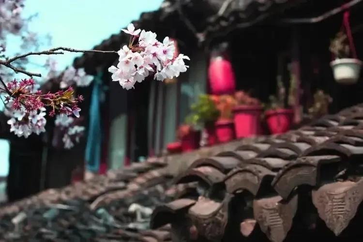 小众惊艳的成语,小众却惊艳的三字成语