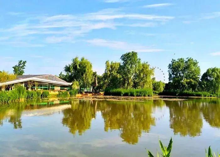 骑行打卡景点,湿地骑行观风景