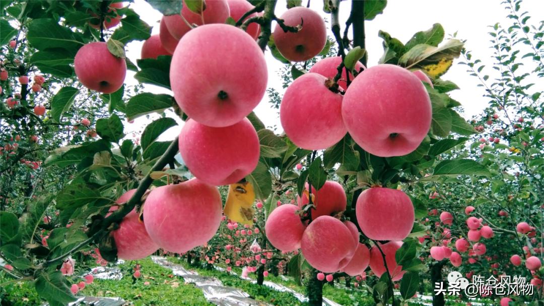 宝鸡附近风景点推荐骑行,宝鸡周边自驾视频