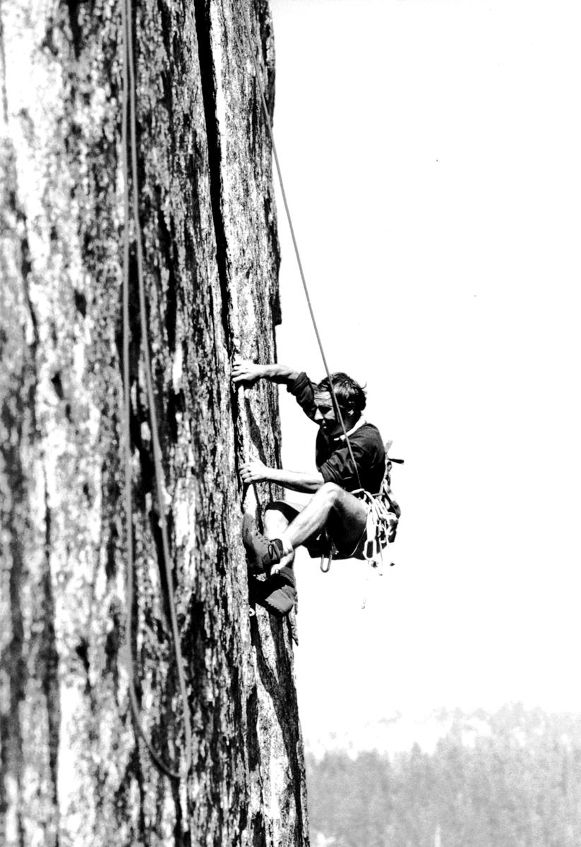 patagonia的总裁,patagonia品牌创始人