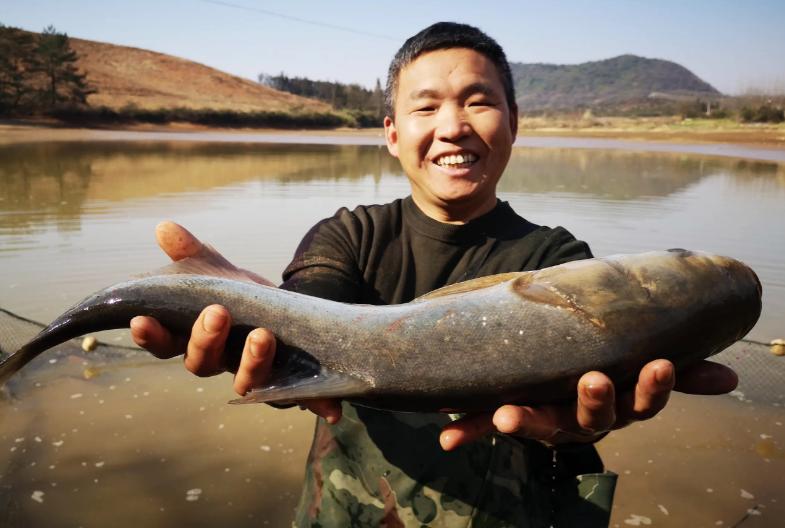 农村做什么生意投资少赚钱快见效,农村最适合干什么生意赚钱投资小