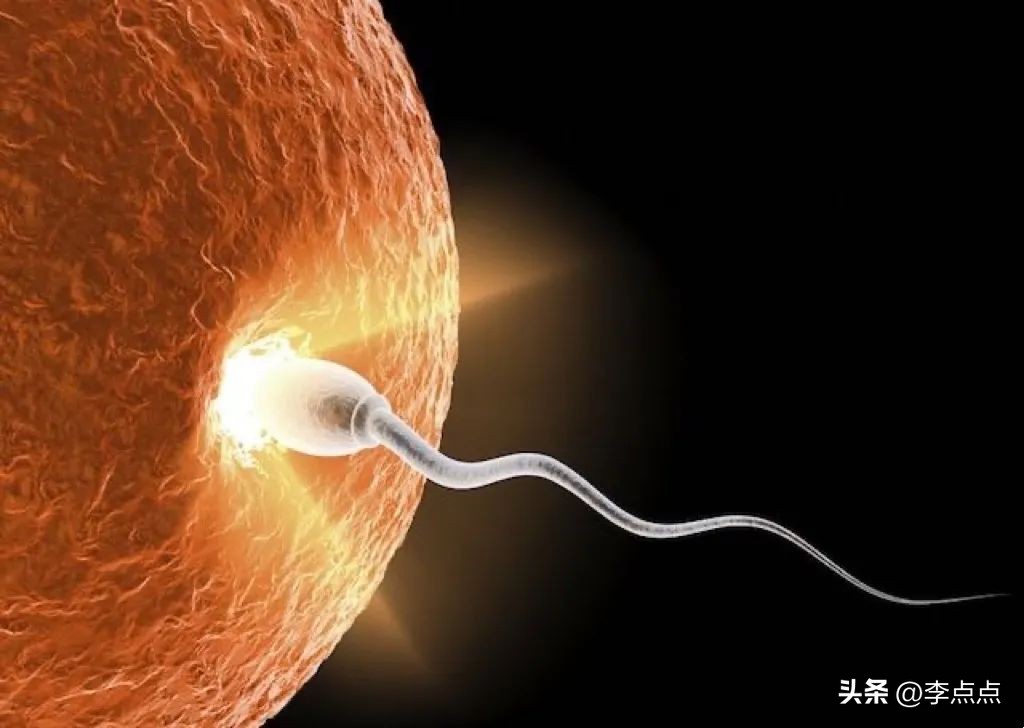 “妈妈，避孕套是做什么用的？”我终于跟娃坦诚地聊了聊