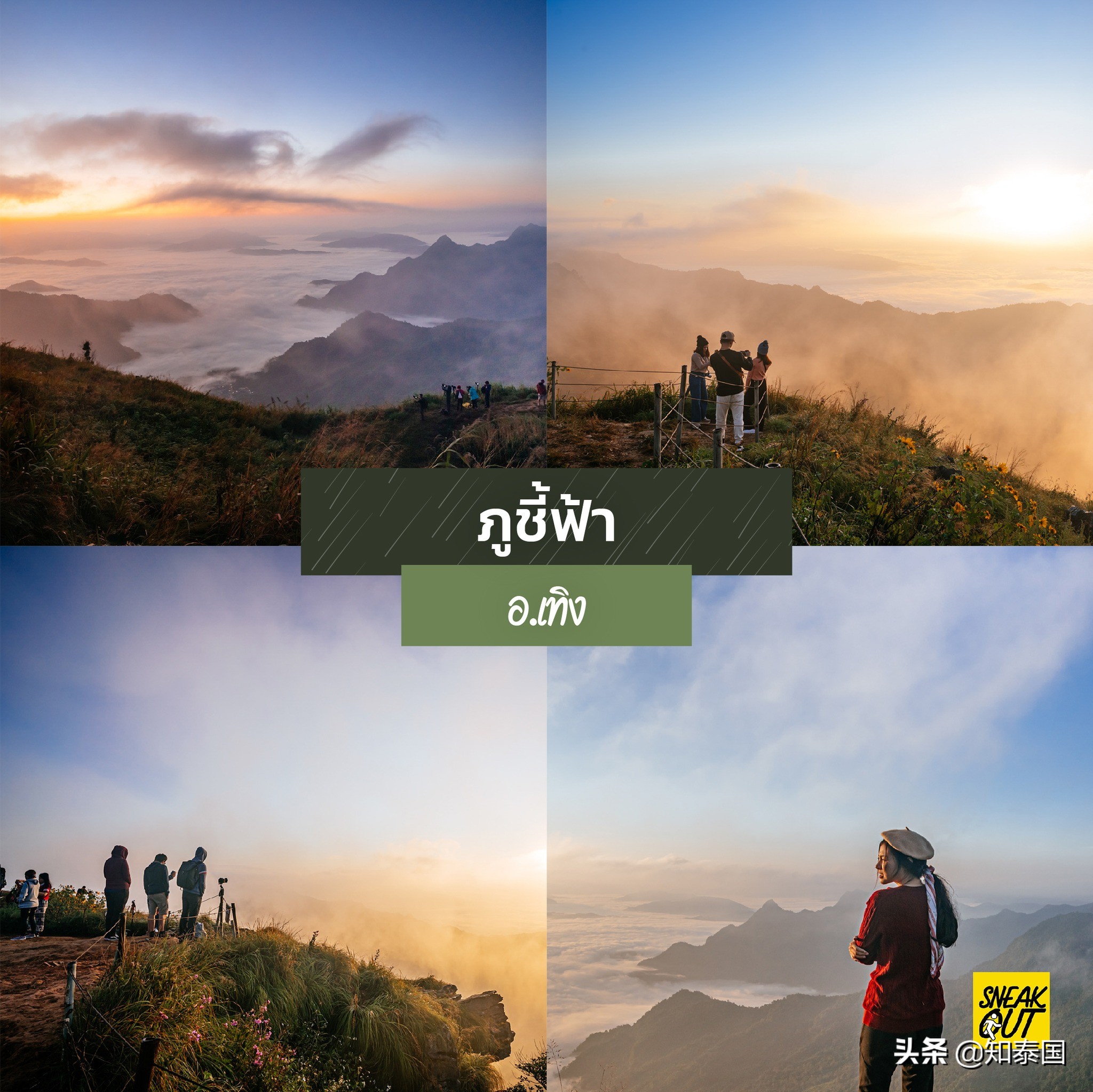 泰国清莱旅游攻略图,泰国雨天旅游必去景点