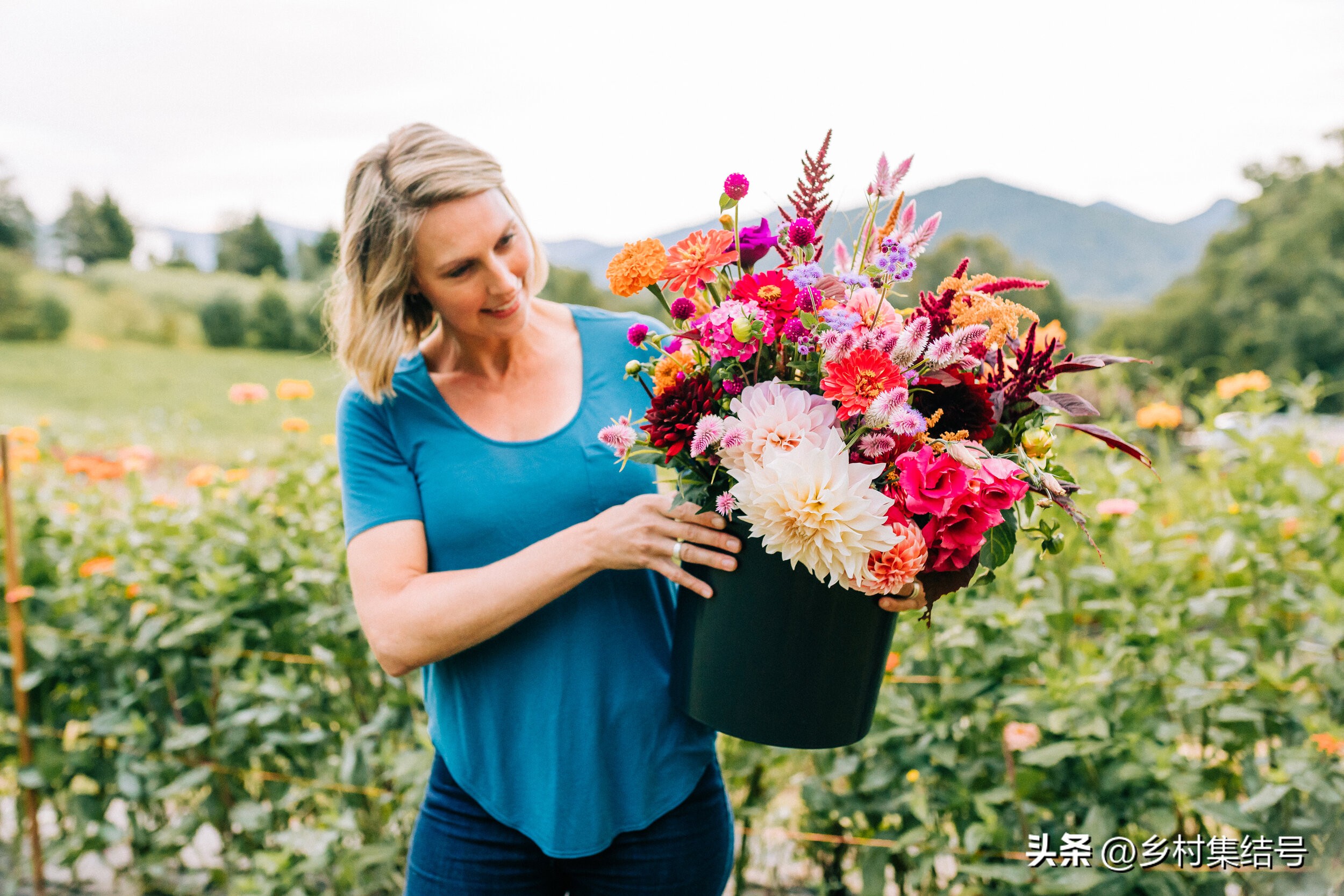 美国夏日梦幻农场：以大丽花为主题的鲜花园艺农场，如梦如画！