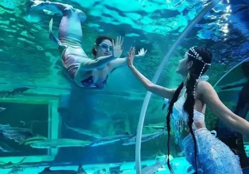 云南六一儿童节旅游攻略,云南适合小朋友旅游的地方