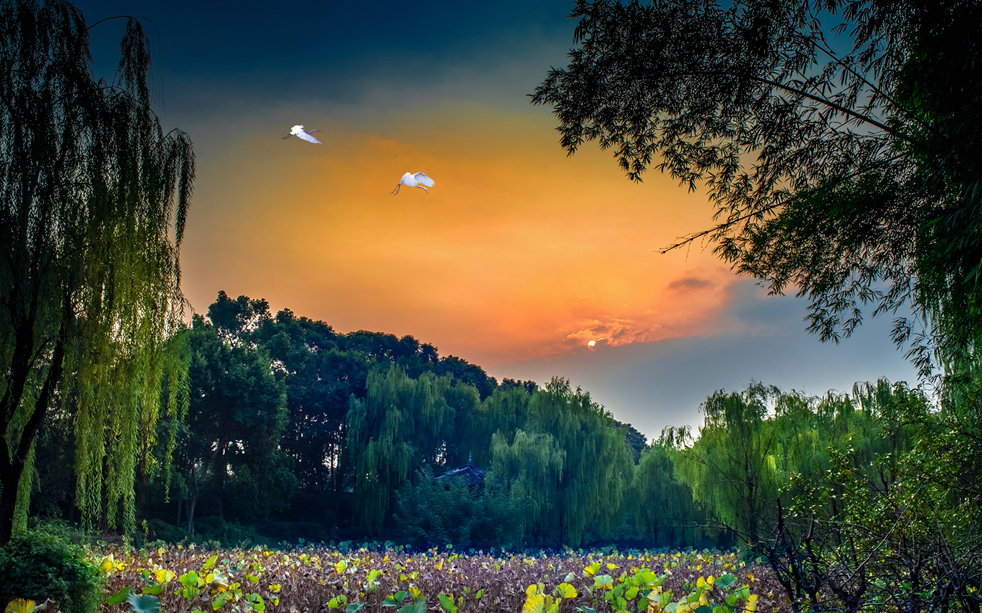 成都十大最美的公园,成都好玩的公园成都十大公园排名