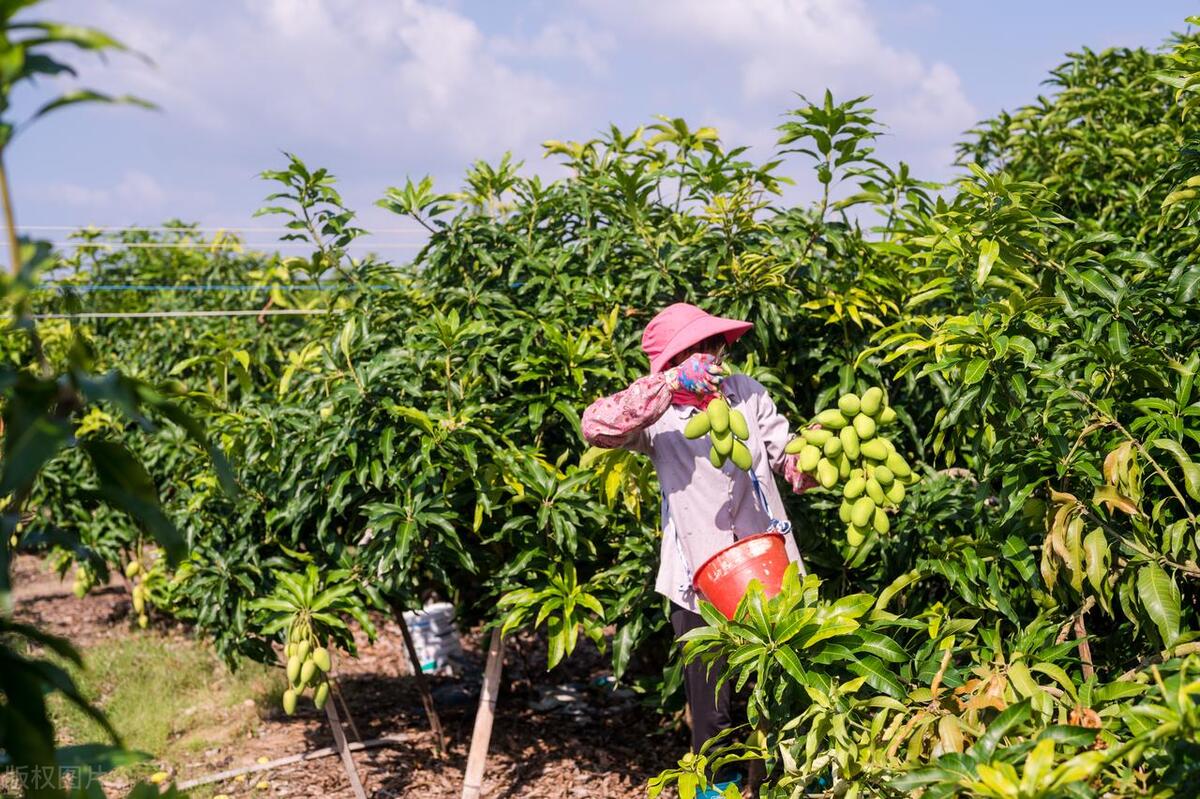 海南自贸岛封关老百姓有什么好处,海南自贸港对海南居民有什么好处