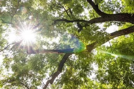 千万别和激光笔“对视”！13岁女孩只因看了一眼，眼底被灼伤