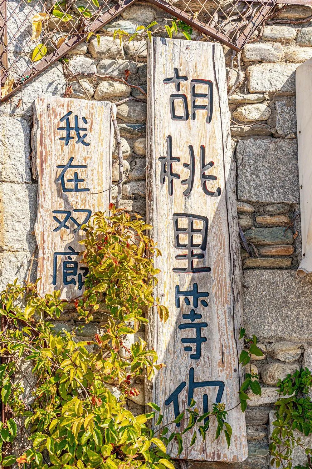 带你去双廊,住在浪漫的双廊洱海边看风景