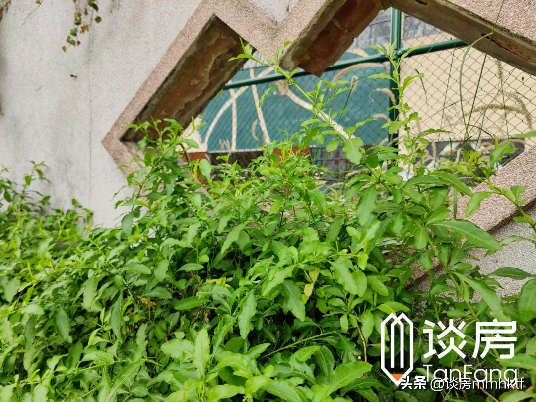 智慧城 新买地块 (智慧城卖地)