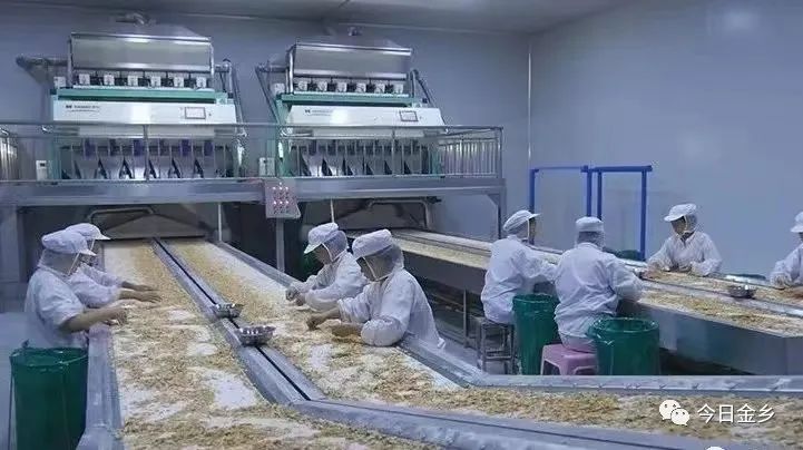 浓墨重彩绘乡村振兴美景,陕西浓墨重彩描绘乡村振兴新画卷