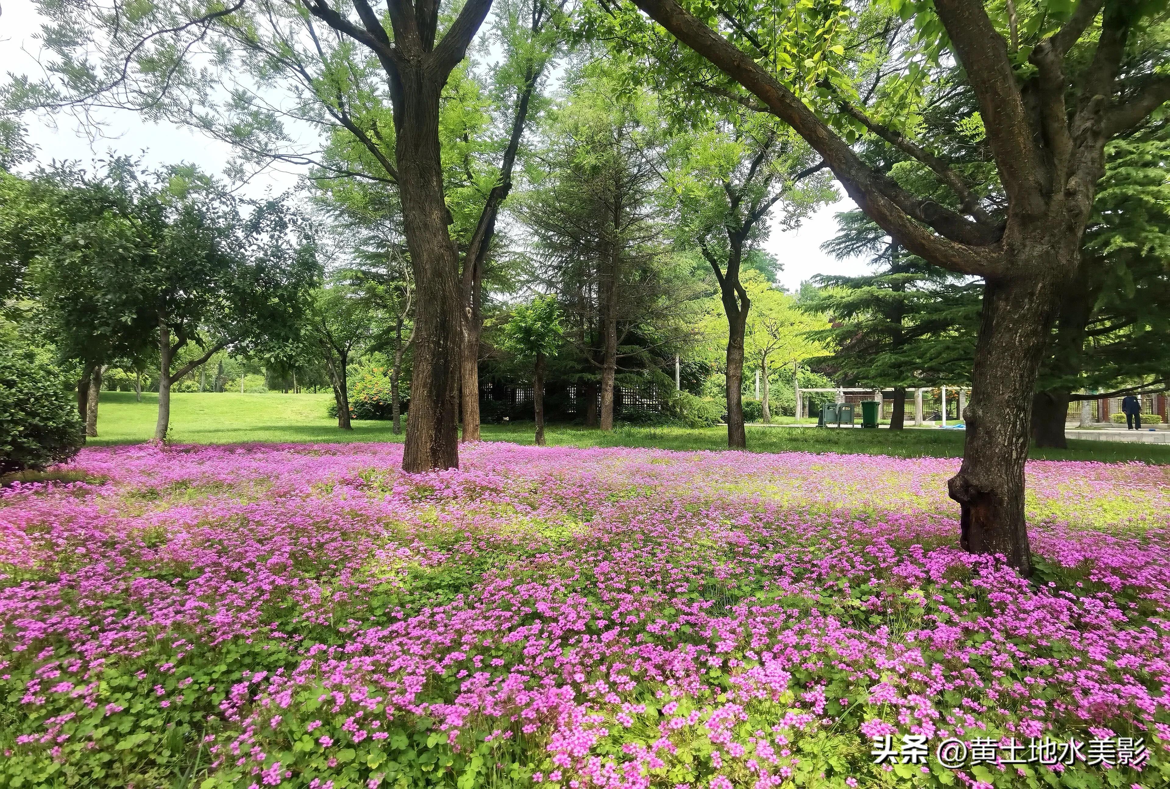 郑州儿童节周边游,郑州室外适宜小朋友游玩的景点