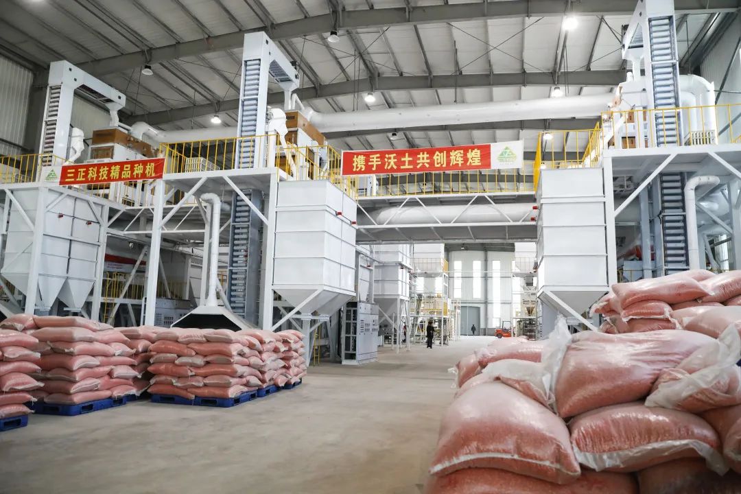 干出项目“加速度”，打造邯郸肥乡“种业高地”