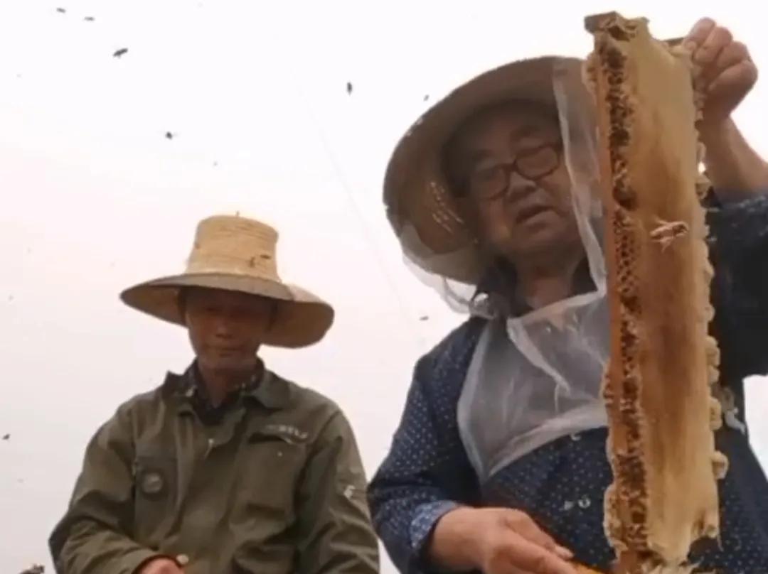 农民不出门打工能干什么养家,农民全都不出去打工怎么办