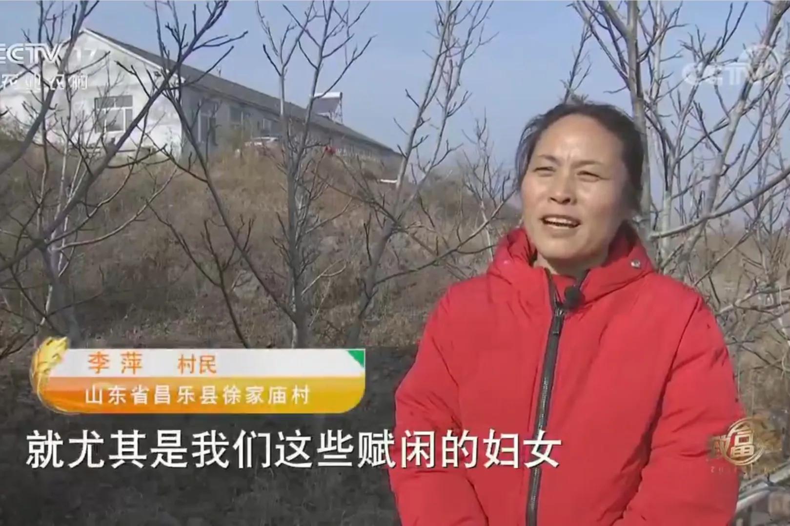 承包荒山致富的例子,美女承包52亩山地