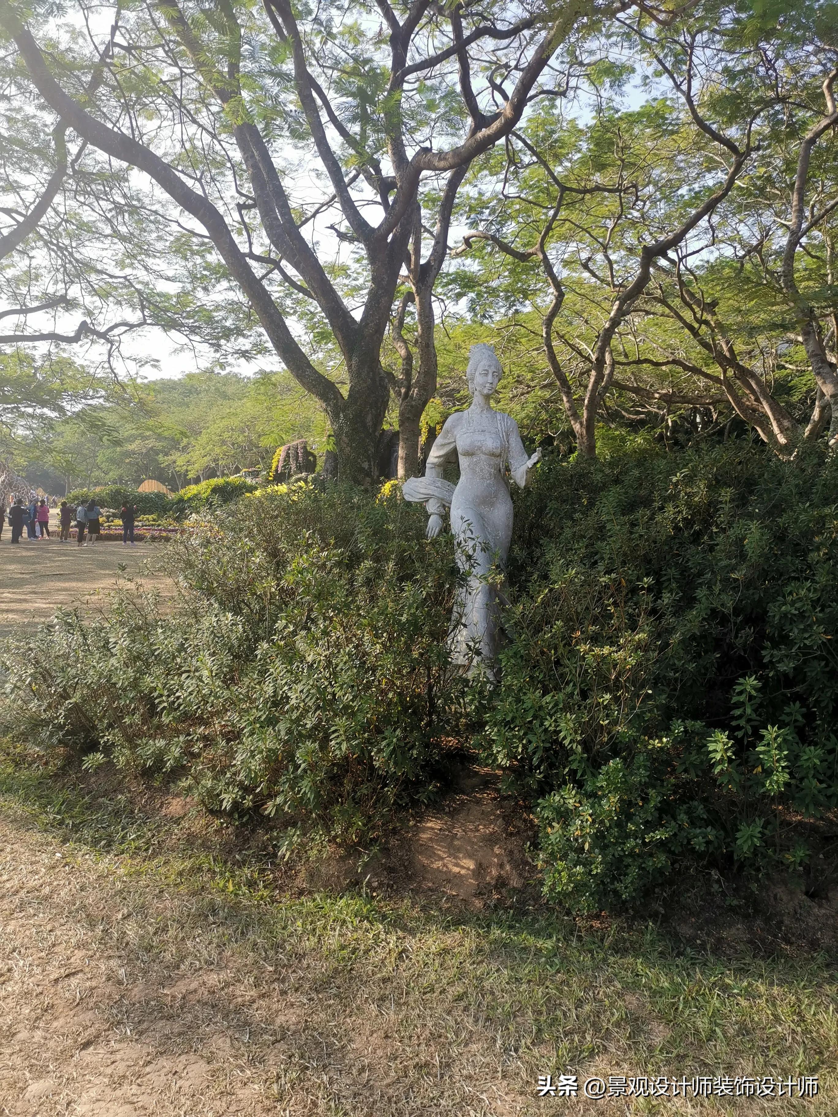 深圳市东湖公园广场舞,深圳市东湖公园收费标准