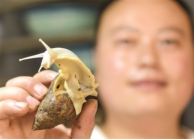 蜗牛可以做花肥吗,蜗牛做美容产品