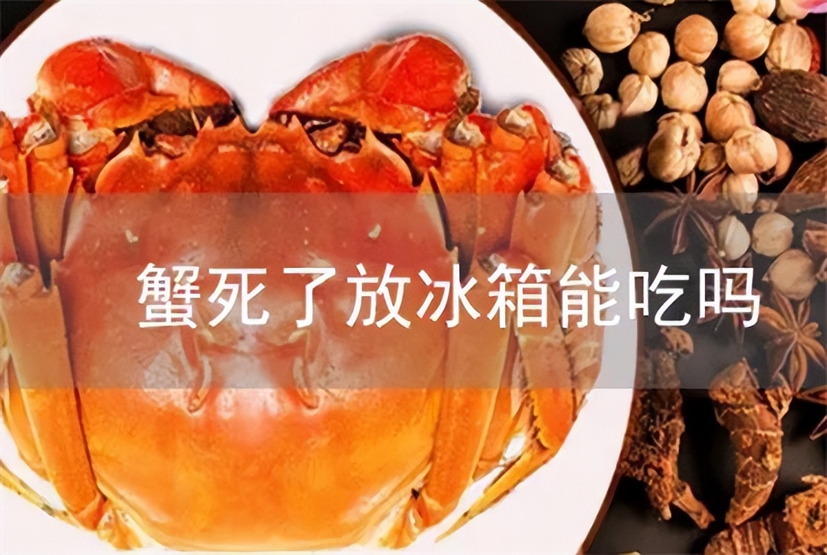 螃蟹刚死常温放了几个小时能吃吗,活螃蟹冷藏放了十天还能吃吗
