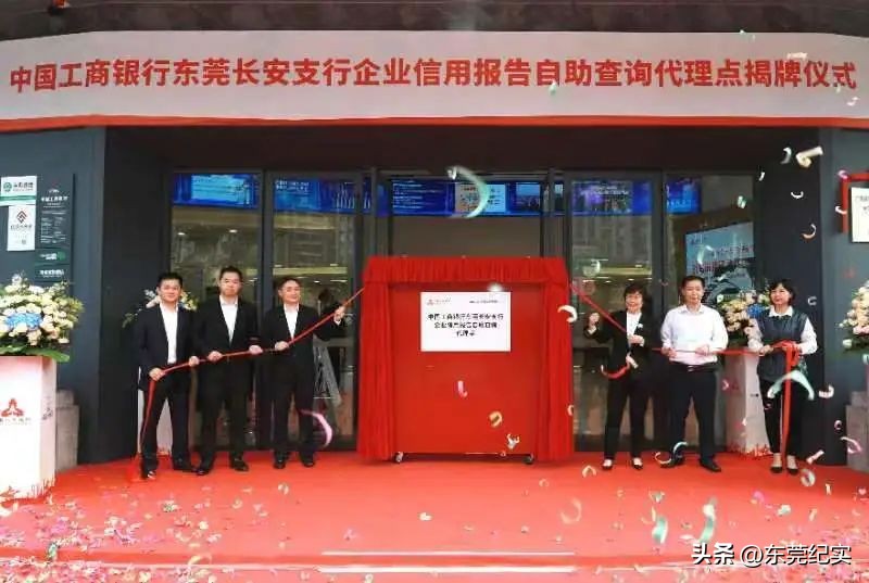 东莞市企业征信系统查询,东莞企业信用报告怎么查询