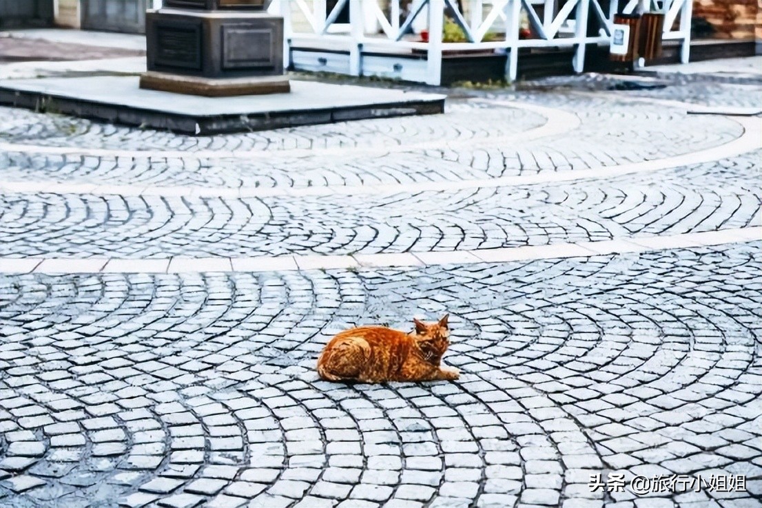 夏日海边浪漫迷人,滨城风光秀丽浪漫气息爆表