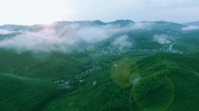 隐于莫干山山林中的5家神仙度假民宿，与自然撞个满怀丨南方民宿